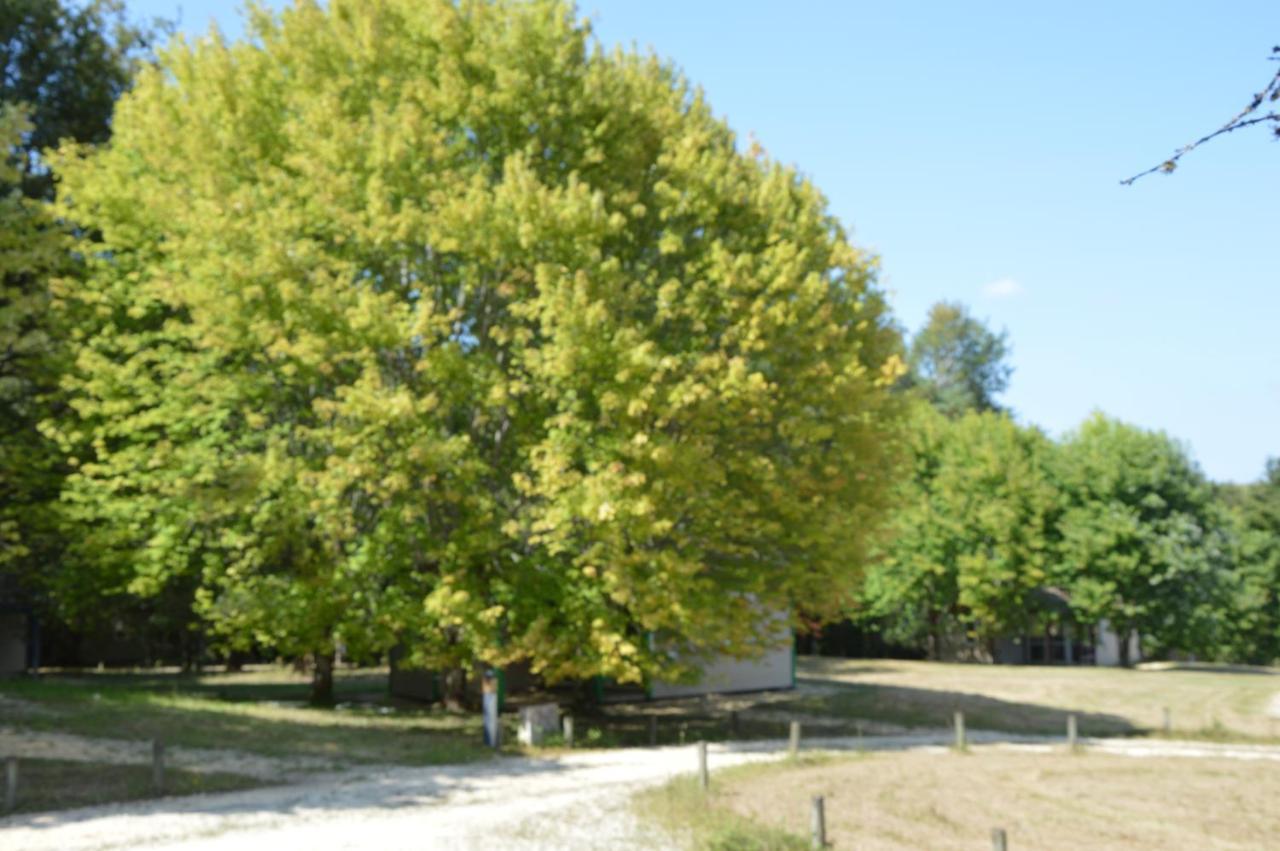 La Foret Enchantee Cornille  Exterior foto